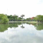 กทม.เตรียมเปิดสวนเทียนทะเลพฤกษาพัฒนาภิรมย์ เขตบางขุนเทียน สิ้นปีนี้