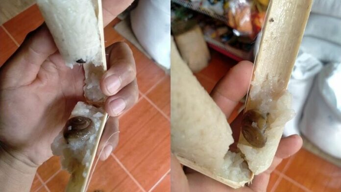 ข้าวหลามหอยทาก