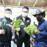 กทม. หนุนเกษตรกรใช้เทคโนโลยี-นวัตกรรมเพิ่มผลผลิต
