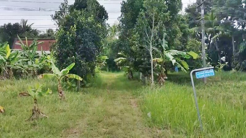 เปิดสภาพบ้าน ลุงเจ๊ก สายเปย์ ในพื้นที่ จ.บุรีรัมย์ หลังถูกสาวหลอกโอนเงินสูญกว่า 10 ล้าน ที่จริงผ้าขี้ริ้วห่อทอง