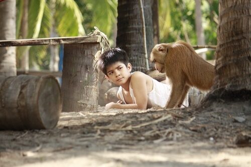 แจ็คกี้ อดิสรณ์