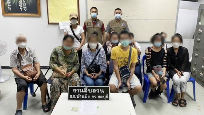 ป่าสน