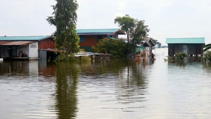น้ำมาก