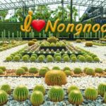 สวนนงนุช พัทยา เปิดแล้ว! โรงละครสกาลา แสดงศิลปวัฒนธรรมไทย-ช้างแสนรู้ นทท.ร่วมชมคึกคัก