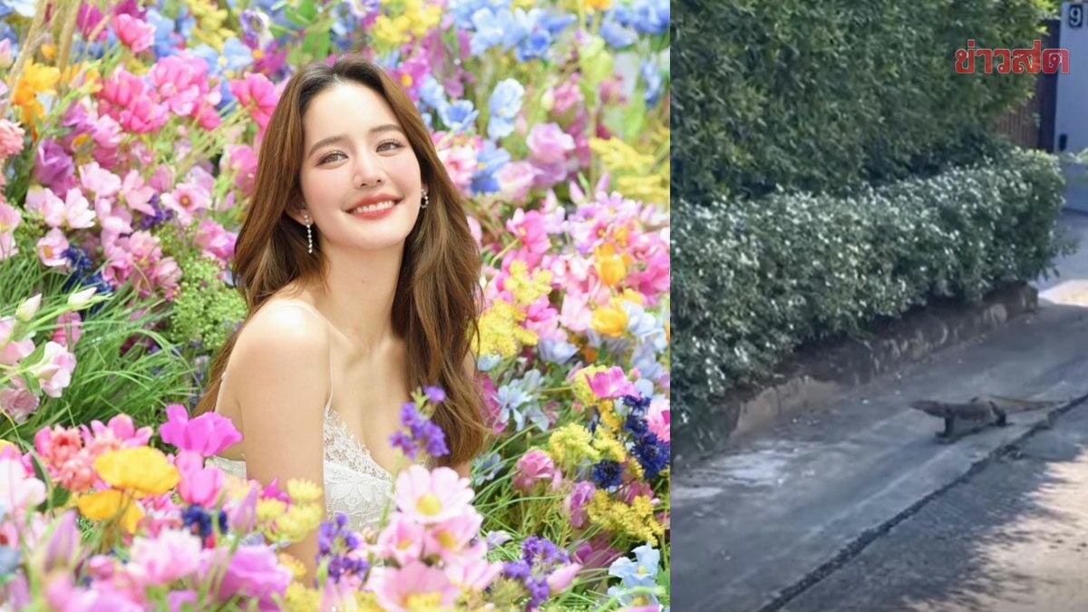 แห่ซูมเลขเด็ด 2 ตัว โบว์ เมลดา ทักทายเจ้าตัวเงินตัวทองเดินอยู่หน้าบ้าน