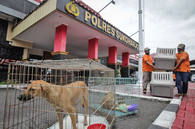 ตำรวจอินโดนีเซีย “จับแก๊งค้าเนื้อสุนัข”