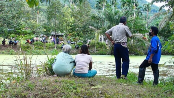หาปลา