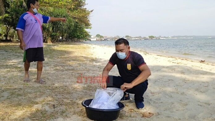 สัปเหร่อ