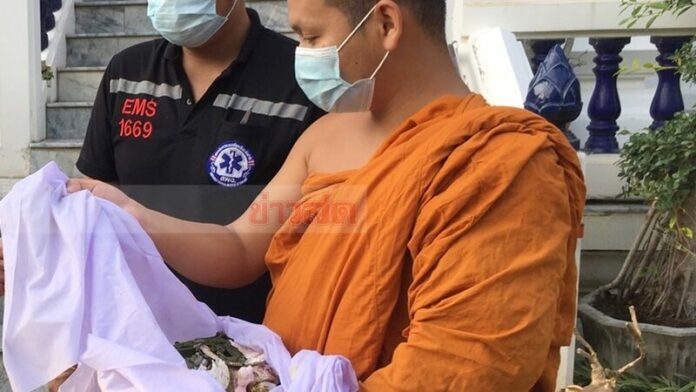 ลอยกระดูก