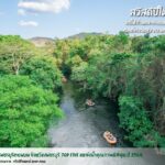 ทส.จัดท็อปไฟว์ สถานที่สิ่งแวดล้อมดีที่สุดปี 2564 พร้อมทำส.ค.ส.อวยพรปีใหม่