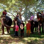 ททท.ตาก ชวนสัมผัส บ้านเพราะช้าง ชม วิถีคน-วิถีช้าง อยู่ร่วมกันผูกพันดั่งสายเลือด