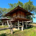ททท.ตาก ชวนสัมผัส บ้านเพราะช้าง ชม วิถีคน-วิถีช้าง อยู่ร่วมกันผูกพันดั่งสายเลือด