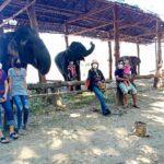 ททท.ตาก ชวนสัมผัส บ้านเพราะช้าง ชม วิถีคน-วิถีช้าง อยู่ร่วมกันผูกพันดั่งสายเลือด