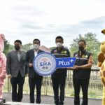 สวนสัตว์เปิดเขาเขียว ชวนชมสมาชิกใหม่ "ลูกยีราฟ" พร้อมรับสัญลักษณ์ SHA Plus สร้างความมั่นใจ นทท.