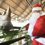 สวนสัตว์เปิดเขาเขียว ส่งมอบความสุขให้สัตว์ป่า เทศกาลแห่งความสุข 'Merry Christmas'