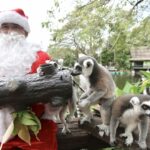สวนสัตว์เปิดเขาเขียว ส่งมอบความสุขให้สัตว์ป่า เทศกาลแห่งความสุข 'Merry Christmas'