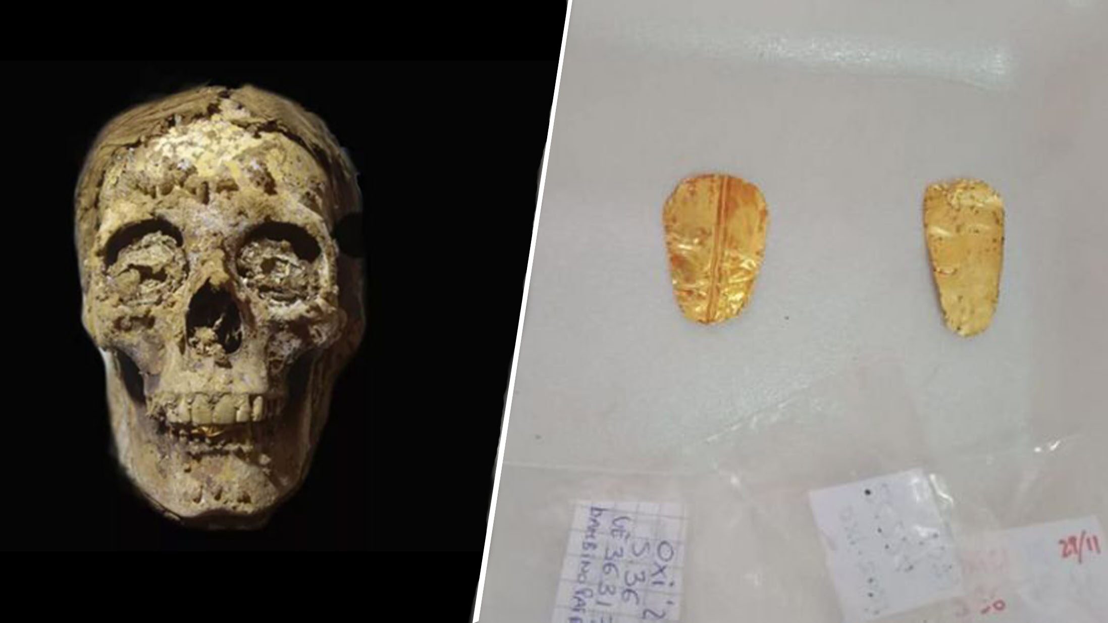 พบมัมมี่อียิปต์ลิ้นทองคำ เพิ่มอีก 3 ร่าง มีทั้งชาย หญิง และเด็ก อายุเก่าแก่ 2,500 ปี