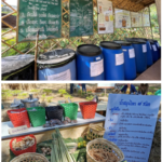 “โคก หนอง นาโมเดล” ทางรอดสู่ “ความยั่งยืน” ด้วย “ความพอเพียง”
