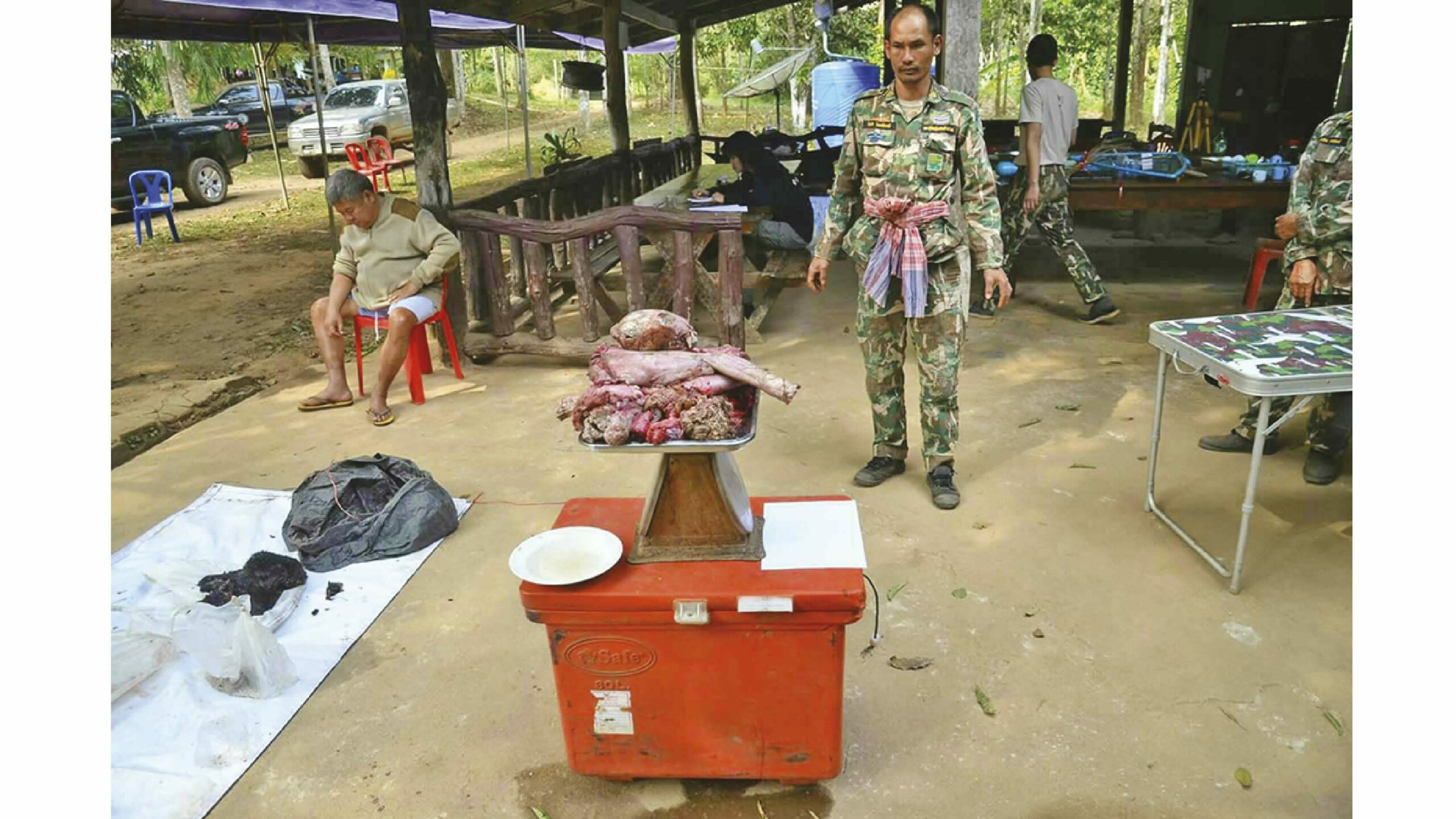 ปิดฉากคดี‘ล่าเสือดำ’คุกเปรมชัย2ปี14เดือน