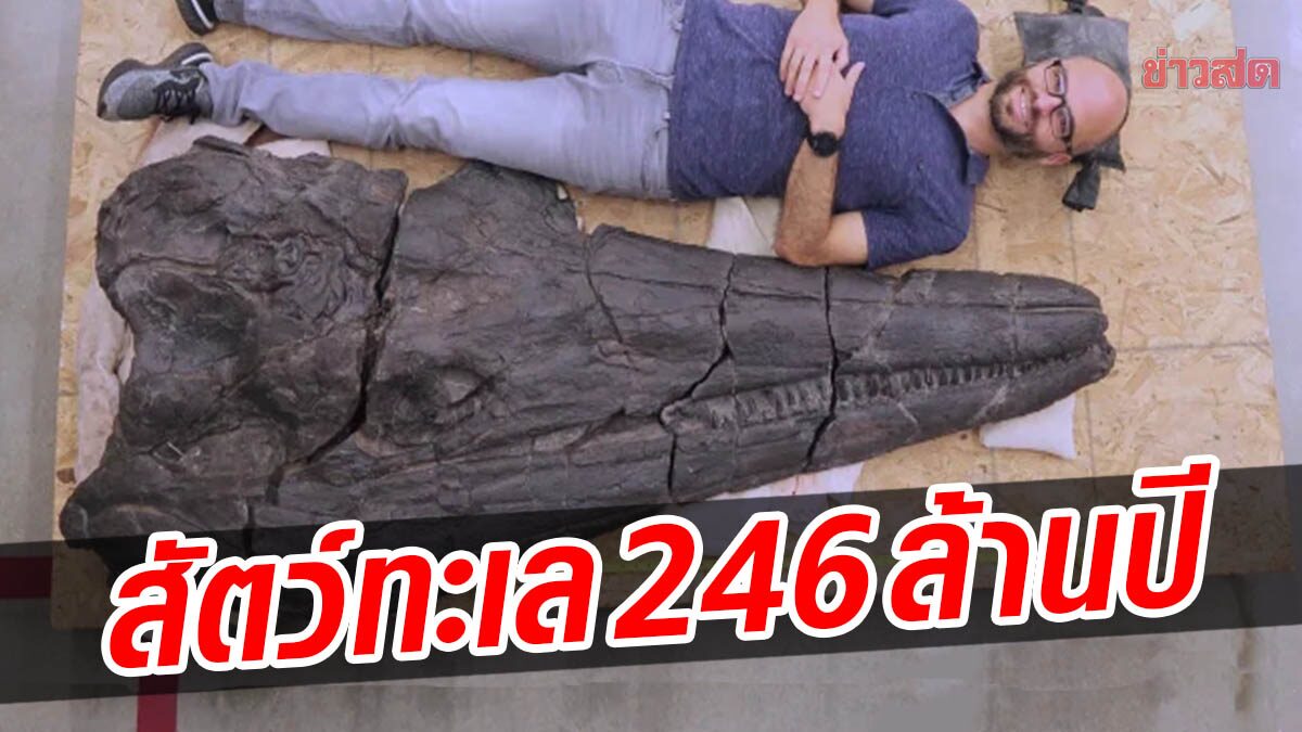 สุดตะลึง! มะกันพบกะโหลก สัตว์ทะเลยุคไดโนเสาร์ ยาว 2 เมตร อายุ 246 ล้านปี
