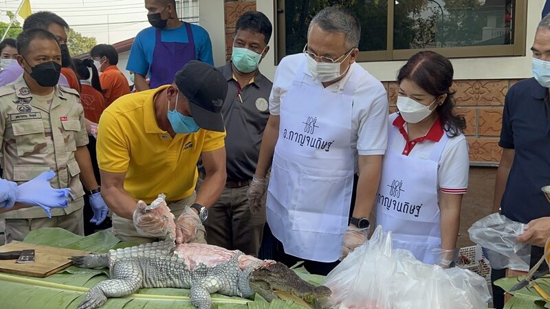 ผู้ว่าฯสุราษฎร์ เปิดจวน แจกเนื้อจระเข้-เนื้อไก่ 350 ตัว ให้ชาวบ้าน บรรเทาทุกข์ช่วงสถานการณ์โควิด-19