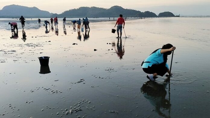 หาดแหลมสน 