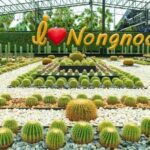 ฟรี! บัตรผ่านประตู ฉีดวัคซีนครบ 3 เข็ม เที่ยวชมสวนนงนุชพัทยา