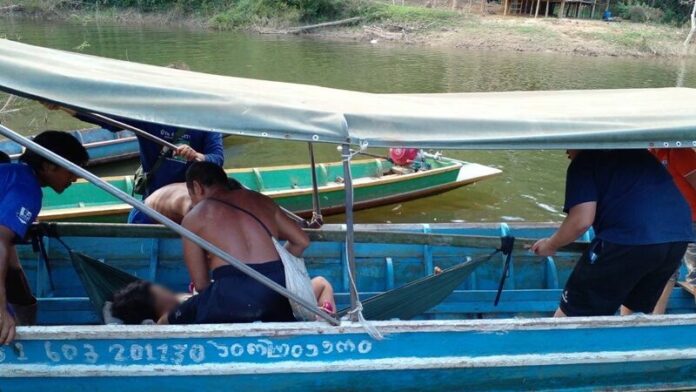 เสือ