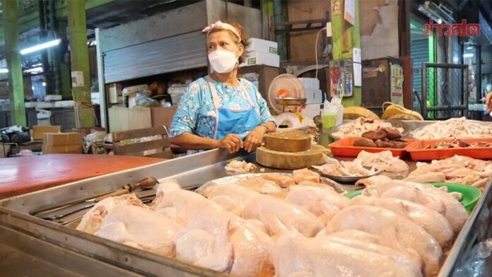 ไก่