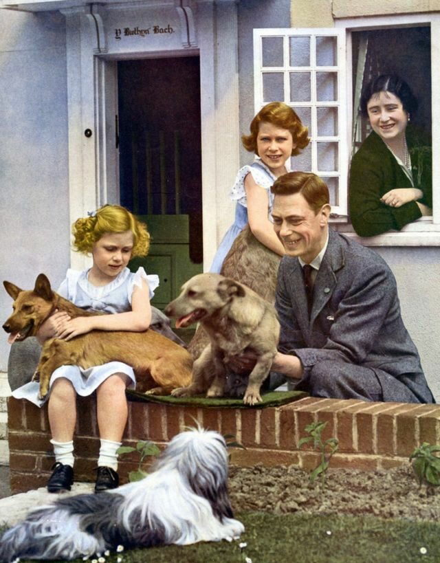 เจ้าหญิงเอลิซาเบธและเจ้าหญิงมาร์กาเรต พร้อมกับพระบิดาและพระมารดา และสุนัขทรงเลี้ยงที่พระราชวังวินด์เซอร์ในปี 1936