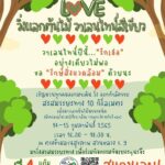 กทม.เปิดหลายสวน จัดกิจกรรมตลอดก.พ. รับวาเลนไทน์ ถ่ายภาพ-เช็คอิน ชมดอกไม้สวยหลากสีสัน