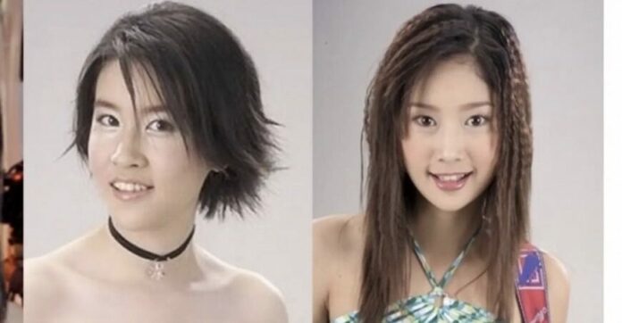 เชียร์ ฑิฆัมพร ใจหาย