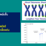 แอปโก้ เปิดมิติใหม่ เดินหน้าสร้างสังคมวัฒนชีวา ให้ความรู้สุขภาพระดับโครโมโซม