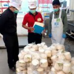 มูลนิธิปิดทองหลังพระฯ ร่วมกับ ซีพี ชูมะพร้าวน้ำหอมบ้านทุ่งโป่ง พืชเศรษฐกิจใหม่นำร่อง ผลักดันผลผลิตสู่แม็คโคร 