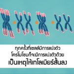 แอปโก้ เปิดมิติใหม่ เดินหน้าสร้างสังคมวัฒนชีวา ให้ความรู้สุขภาพระดับโครโมโซม