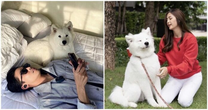 พิชญ์ กาไชย รักแฮปปี้