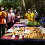 ยกระดับ ซาโมซ่า ขนมถิ่นกะเหรี่ยง ผสมผสาน ดั้งเดิม-สมัยใหม่ อร่อยเข้ากันลงตัว ตอบโจทย์ผู้บริโภค