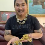 มองอย่างเซียน : สายตรงพญาเต่าเรือน หลวงปู่หลิว