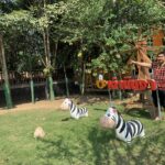 มองอย่างเซียน : สายตรงพญาเต่าเรือน หลวงปู่หลิว