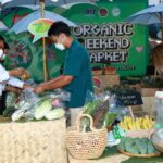 กรมการค้าภายในปลื้ม งานตลาดนัดอินทรีย์ ชี้อนาคตสดใส