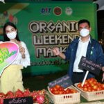 กรมการค้าภายในปลื้ม งานตลาดนัดอินทรีย์ ชี้อนาคตสดใส