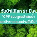 21 มีนาคม "วันป่าไม้โลก" CPF ร่วมฟื้นฟูป่าต้นน้ำ-ป่าชายเลน สร้างความมั่นคงทางอาหาร บนพื้นฐานทรัพยากรธรรมชาติที่สมบูรณ์
