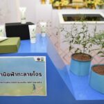 วช. ชูยุทธศาสตร์งานวิจัยเด่น ปี 2565 ยกระดับคุณภาพชีวิตพลเมืองในประเทศ