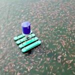 ซีพีเอฟ ยกระดับการเลี้ยงปลารูปแบบ CARE Aquaculture Model สร้างความปลอดภัยทางอาหารและสิ่งแวดล้อม