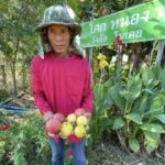 อุบลราชธานี “มหานครแห่ง โคก หนอง นา”