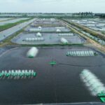 ซีพีเอฟ ยกระดับการเลี้ยงปลารูปแบบ CARE Aquaculture Model สร้างความปลอดภัยทางอาหารและสิ่งแวดล้อม