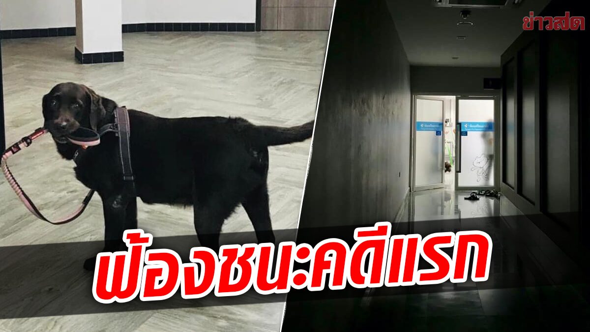คดีแรกในไทย เจ้าของฟ้องหมอ-โรงพยาบาล ทำหมาตายแล้วชนะคดี