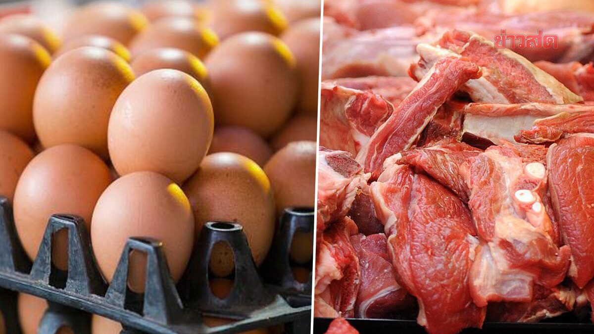 รายจ่ายเพิ่ม! ไข่ไก่-หมู ปรับราคาอีก ผู้เลี้ยงอั้นไม่ไหว ต้นทุนอาหารพุ่ง รายจ่ายเพิ่ม! ไข่ไก่-หมู ปรับราคาอีก ผู้เลี้ยงอั้นไม่ไหว ต้นทุนอาหารพุ่ง