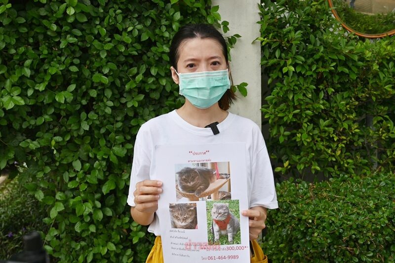 เจ้าของ "น้องมณี" เปิดใจ หลังแมวกลับเข้าบ้านเอง พร้อมให้สินน้ำใจคนช่วยหา เผย อาการล่าสุด
