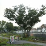 เร่งปรับปรุง ป้อมมหากาฬ-กำแพงเมืองเก่า คาดเสร็จ พ.ย.นี้